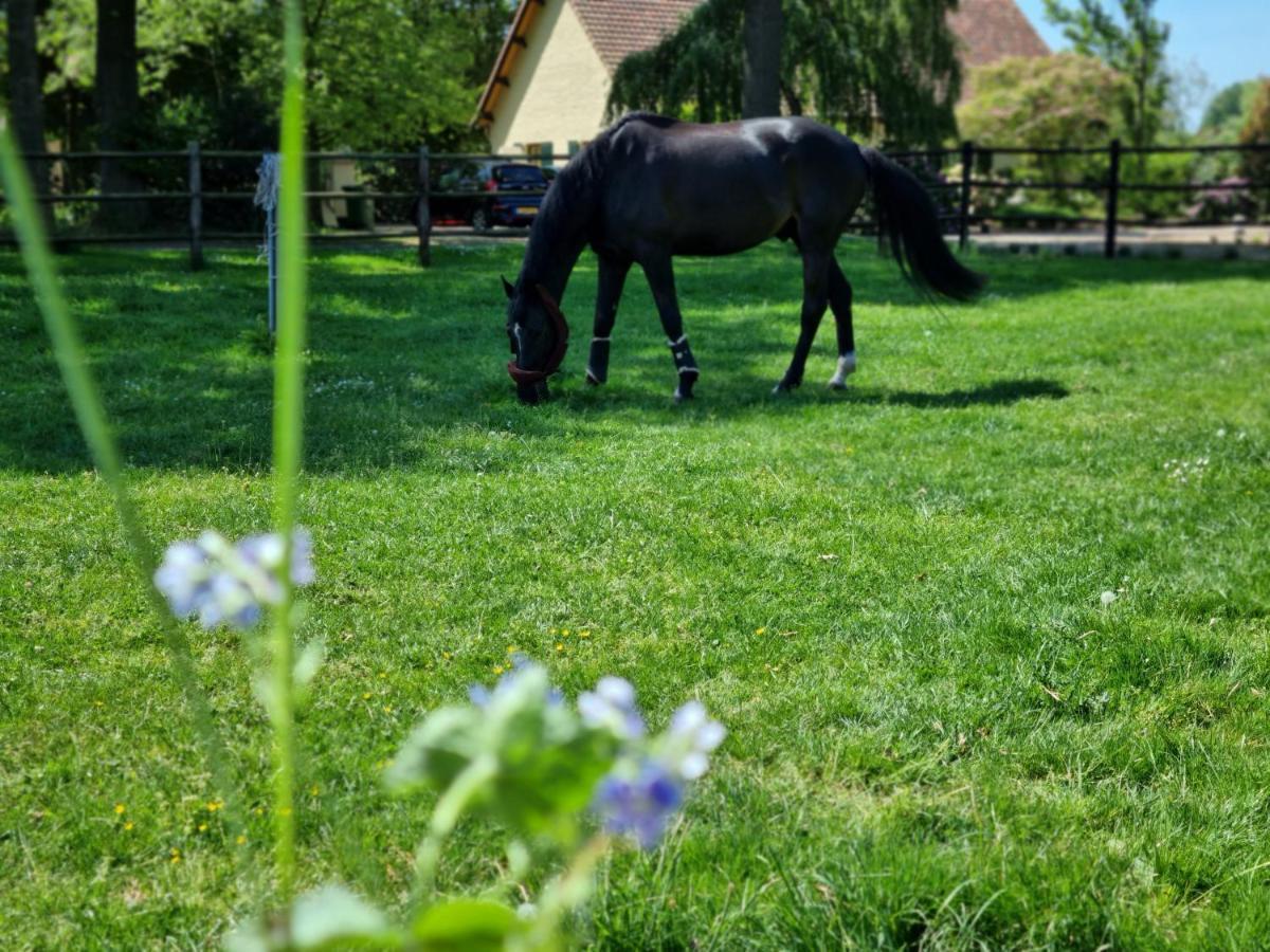 Vakantiewoning Schouwenberg Swalmen Buitenkant foto